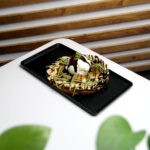 وافل کارامل بستنی